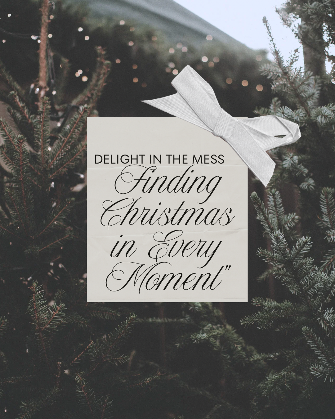 Delight in the Mess: Finding Christmas in Every Moment