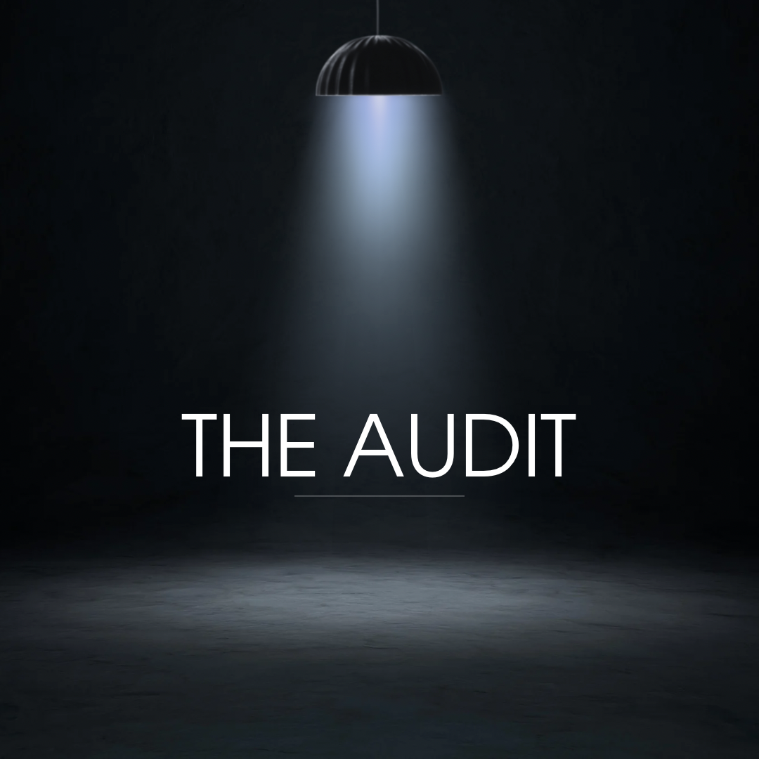 The Audit